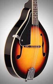 Amazon.co.jp: Stagg M20 左利き 8弦 ブルーグラス マンドリン